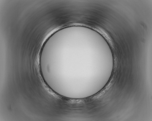 X0000112931198200908241047