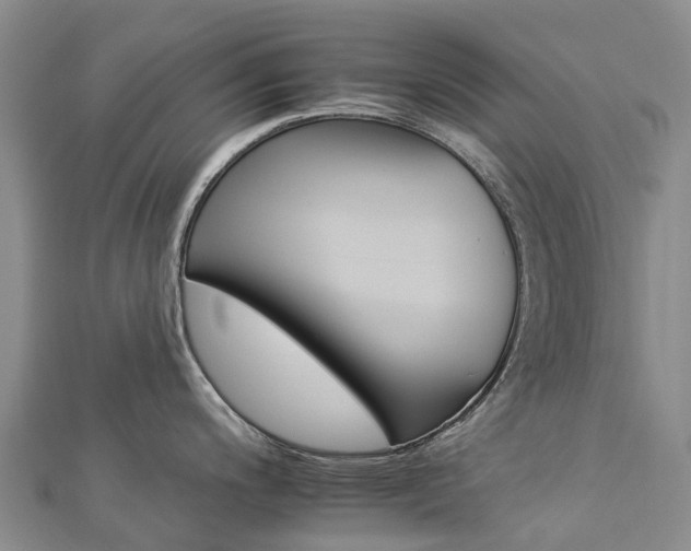 X0000112931200200908241047