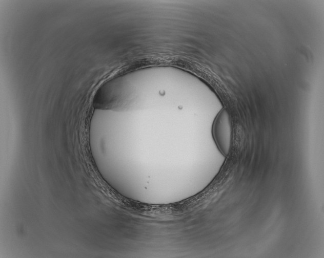 X0000112931201200908241046