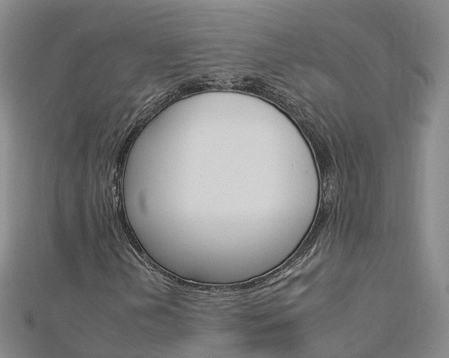 X0000112931202200908241046