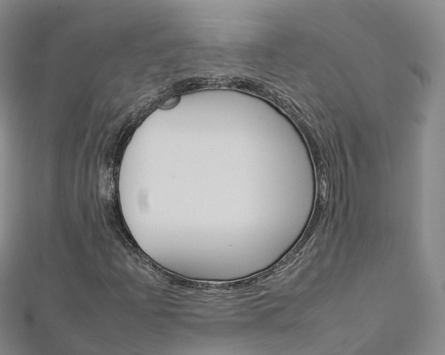 X0000112931204200908241046
