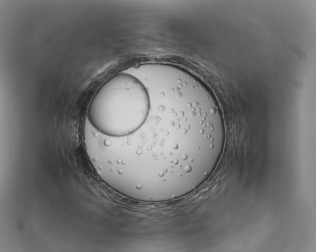 X0000112931205200908241046