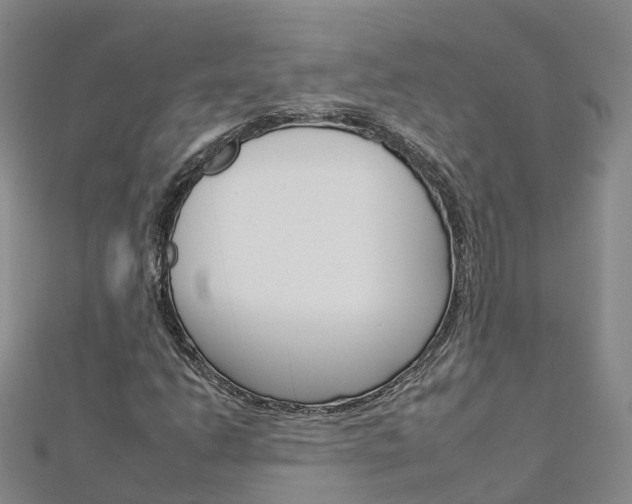 X0000112931206200908241046
