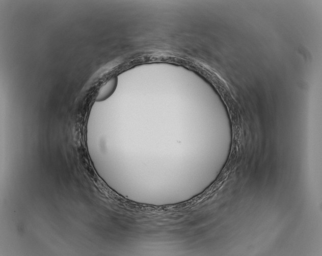 X0000112931207200908241046