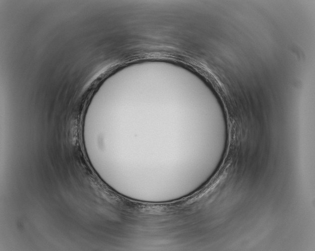 X0000112931211200908241046