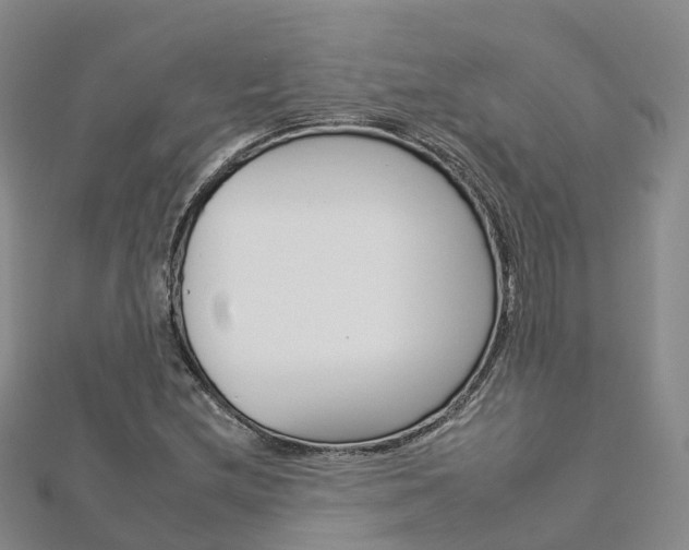 X0000112931212200908241046