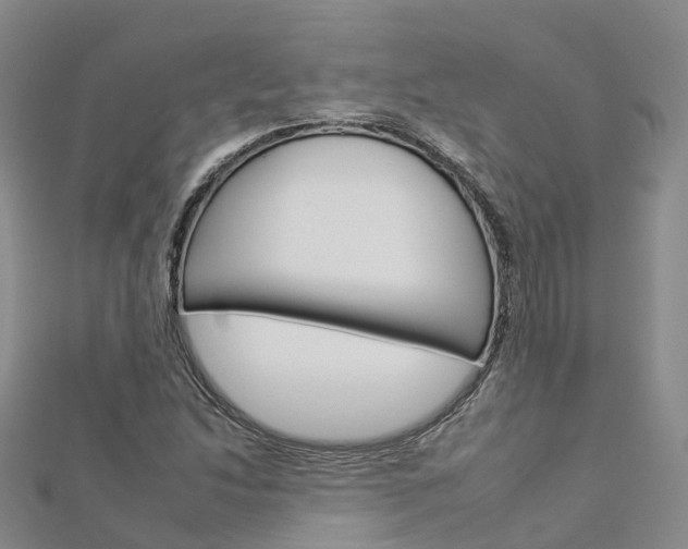 X0000112931214200908241046