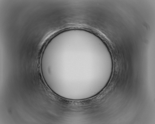 X0000112931215200908241046