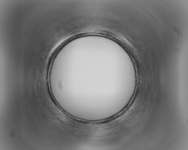 X0000112931216200908241046