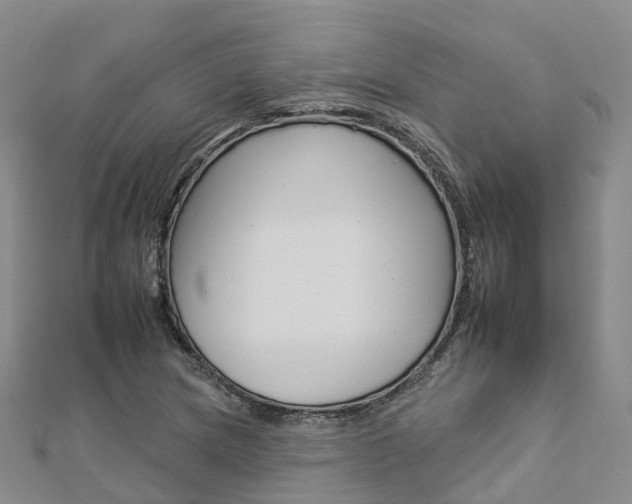 X0000112931217200908241046