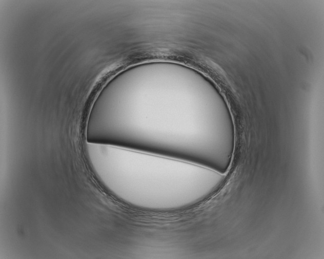X0000112931218200908241046