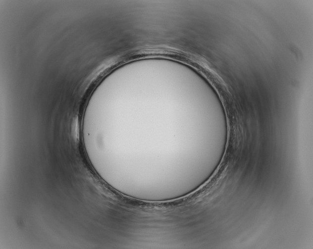 X0000112931221200908241046