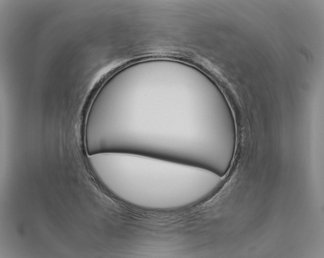 X0000112931222200908241046