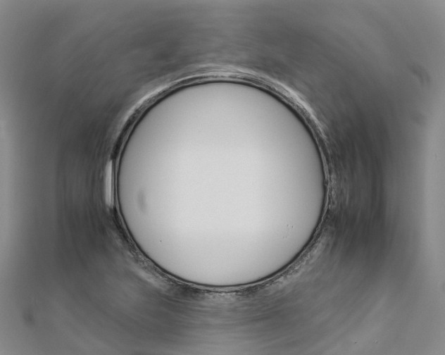 X0000112931223200908241046