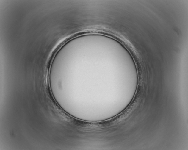 X0000112931224200908241046