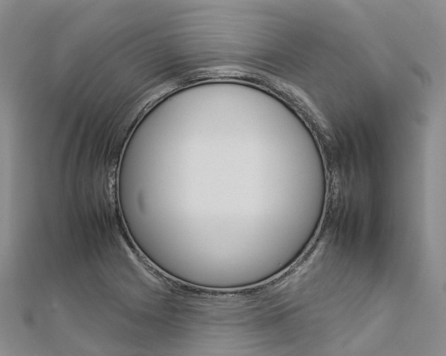 X0000112931225200908241046