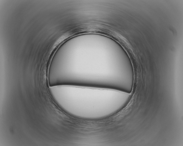 X0000112931226200908241046