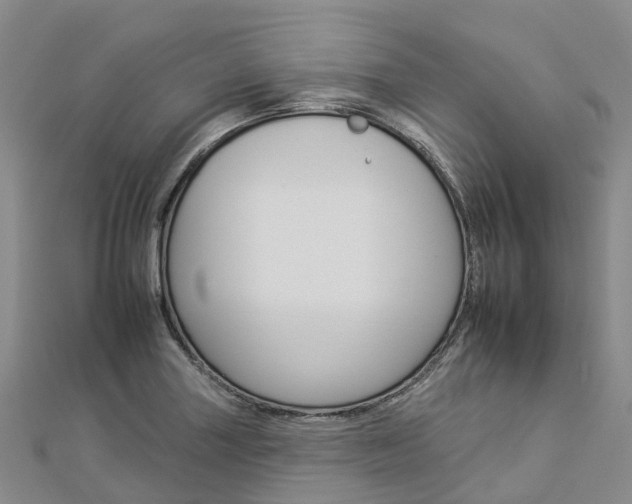 X0000112931227200908241046
