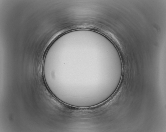 X0000112931228200908241046