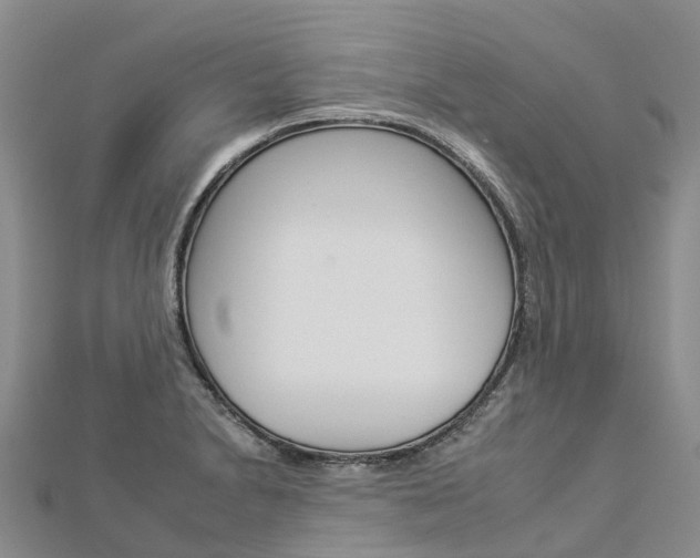 X0000112931230200908241046
