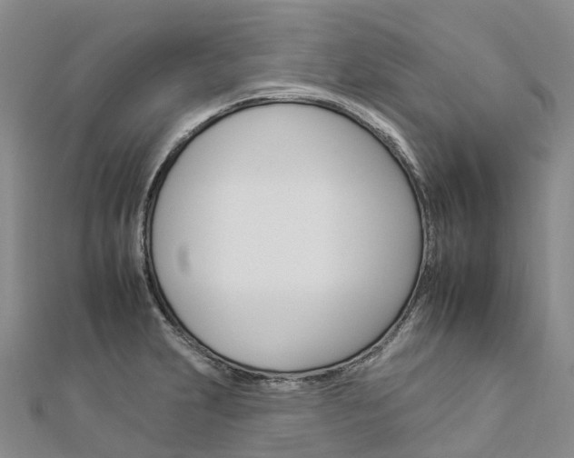 X0000112931231200908241046