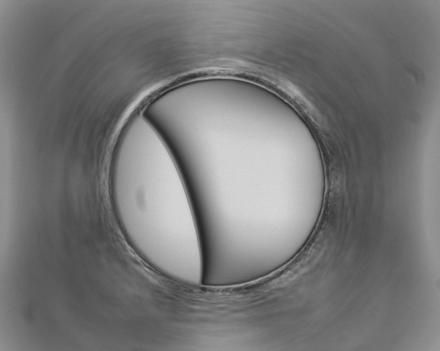 X0000112931232200908241046
