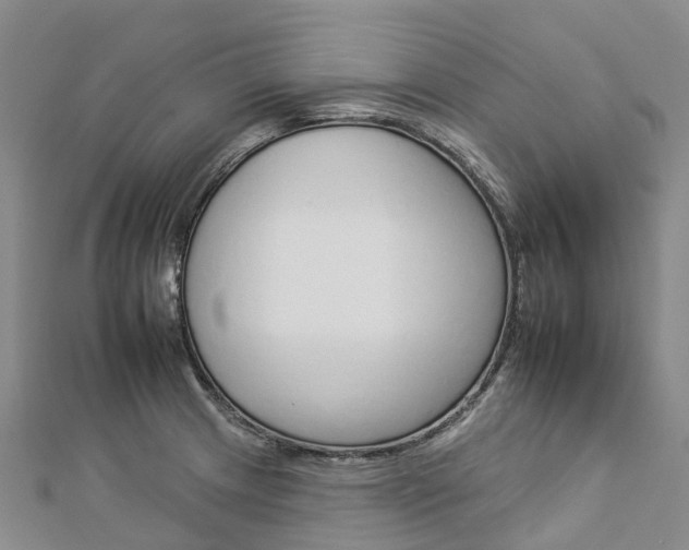 X0000112931233200908241046