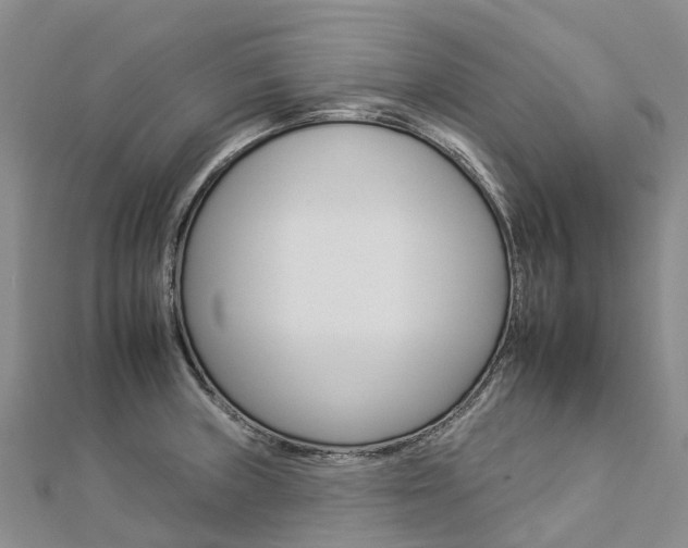 X0000112931235200908241046