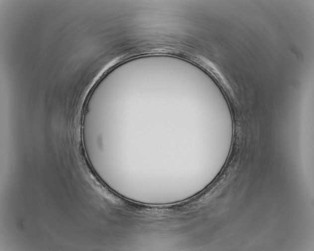 X0000112931236200908241046