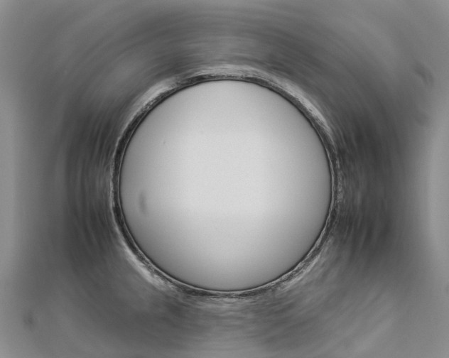 X0000112931237200908241046