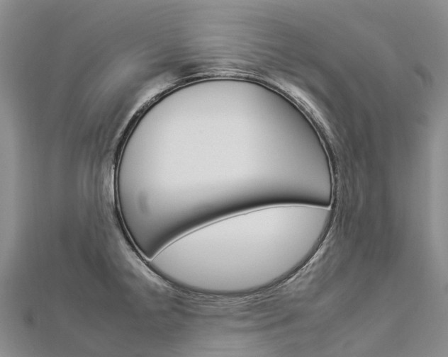 X0000112931238200908241046