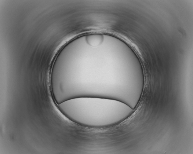 X0000112931239200908241046