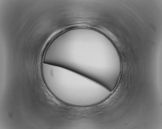 X0000112931240200908241046
