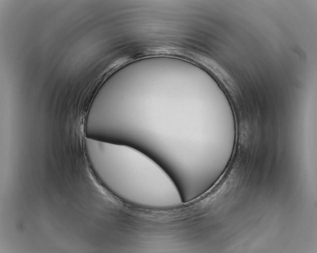 X0000112931241200908241046