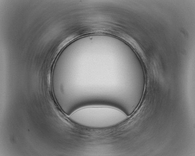 X0000112931242200908241046