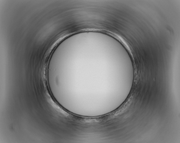 X0000112931243200908241046