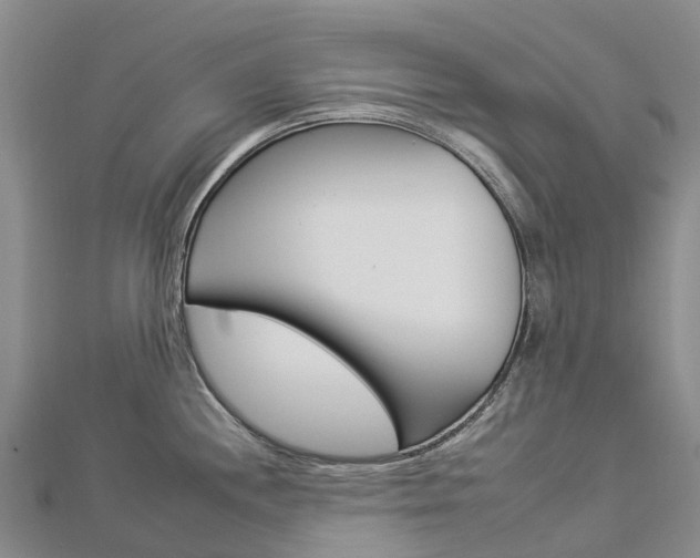 X0000112931244200908241046