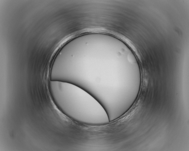 X0000112931245200908241046