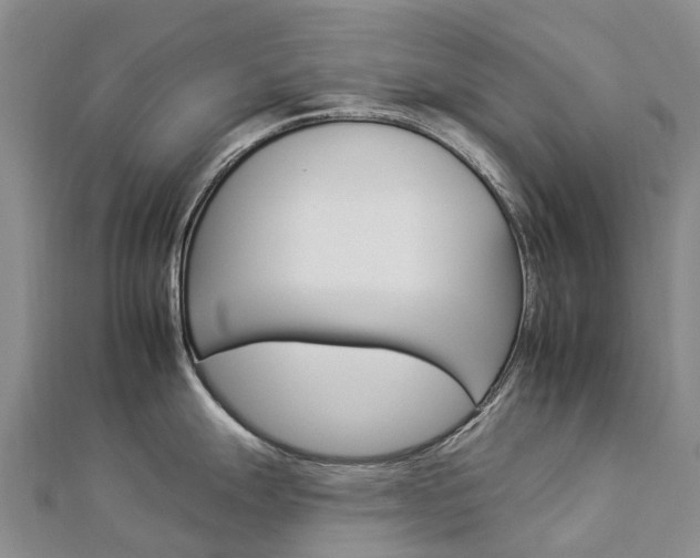 X0000112931247200908241046