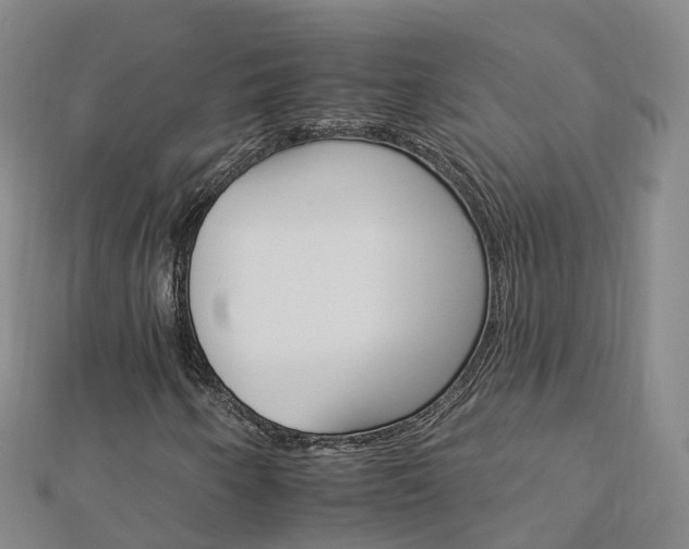 X0000112931250200908241046