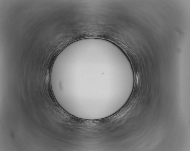 X0000112931251200908241046