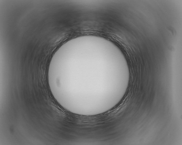 X0000112931252200908241046