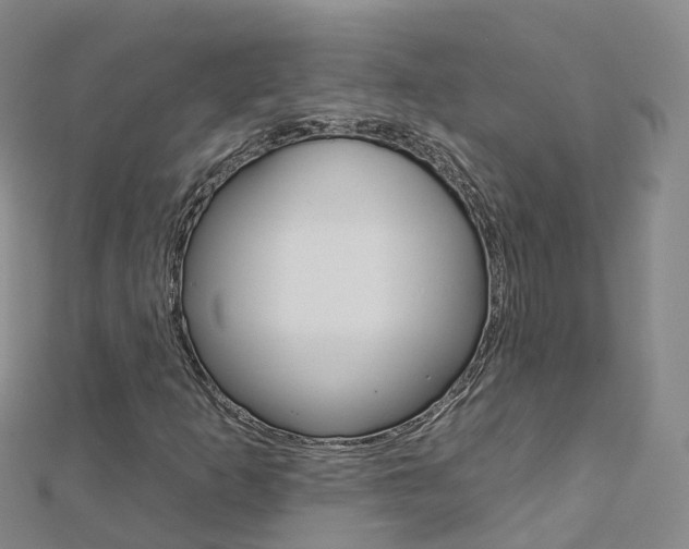 X0000112931253200908241046