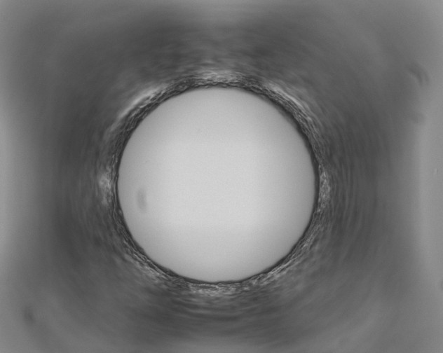 X0000112931254200908241046