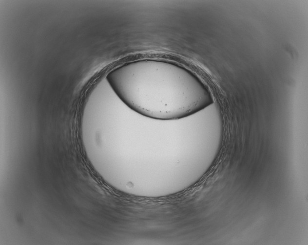 X0000112931255200908241046