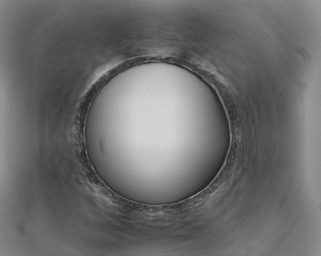 X0000112931256200908241046