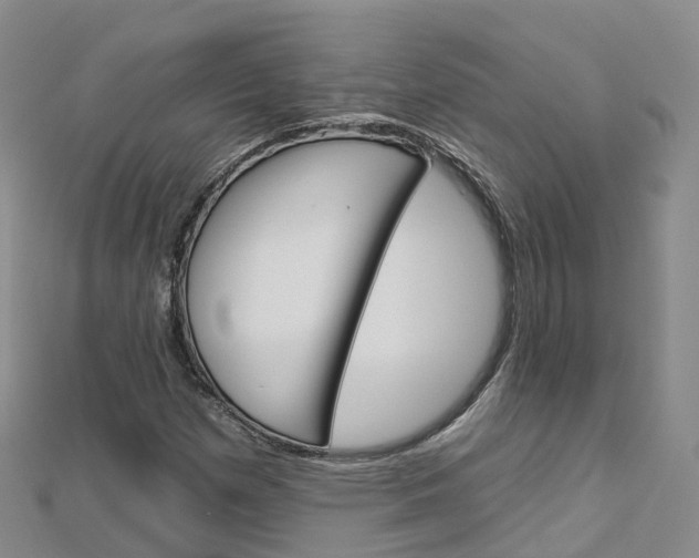 X0000112931257200908241046