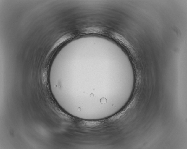X0000112931258200908241046