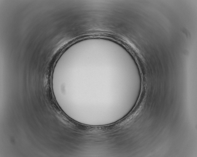X0000112931259200908241046
