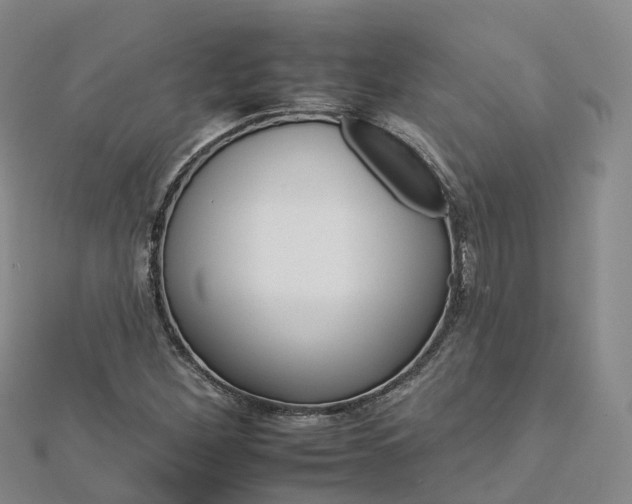 X0000112931260200908241046